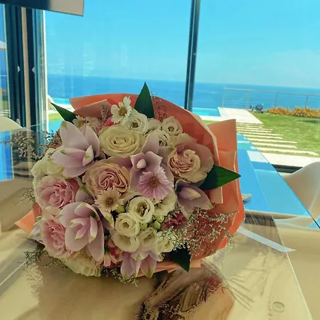 Sabrina Riviera Dei Fiori A Picco Sul Mare Con Piscina Privata ,wellness & Imperia